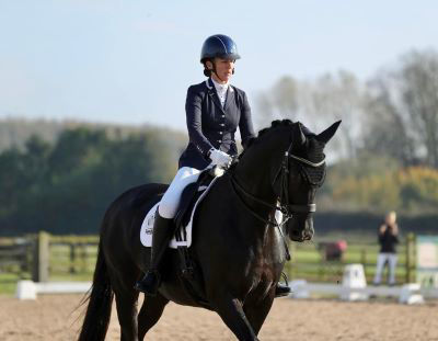 Dark bay horse dressage